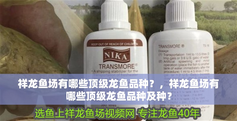 祥龍魚場有哪些頂級龍魚品種？，祥龍魚場有哪些頂級龍魚品種及種？