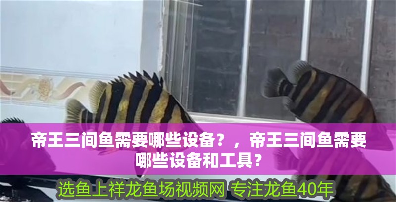 帝王三間魚需要哪些設備？，帝王三間魚需要哪些設備和工具？
