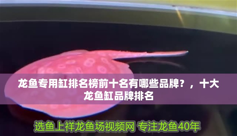 龍魚專用缸排名榜前十名有哪些品牌？，十大龍魚缸品牌排名
