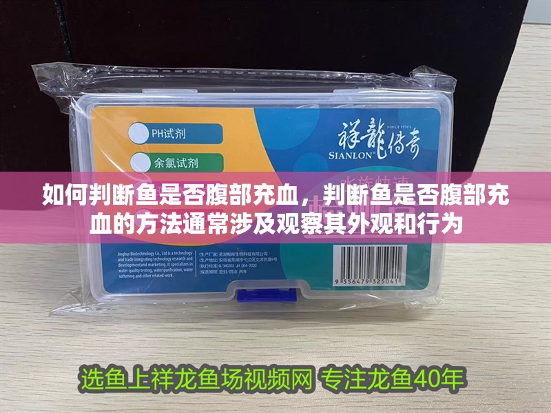 魚缸用增氧泵價格是多少:魚缸增氧機-xtrac增氧機-xtrac增氧機 如何判斷魚是否腹部充血,判斷魚是否腹部充血的方法通常涉及觀察其外觀和行為 龍魚百科 如何判斷魚是否腹部充血,判斷魚是否腹部充血的方法通常涉及觀察其外觀和行為 如何判斷魚是否腹部充血,判斷魚是否腹部充血的方法通常涉及觀察其外觀和行為 龍魚百科