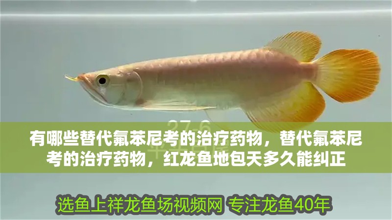 魚缸用增氧泵價格是多少:魚缸增氧機-xtrac增氧機-xtrac增氧機 有哪些替代氟苯尼考的治療藥物,替代氟苯尼考的治療藥物,紅龍魚地包天多久能糾正 龍魚百科 有哪些替代氟苯尼考的治療藥物,替代氟苯尼考的治療藥物,紅龍魚地包天多久能糾正 有哪些替代氟苯尼考的治療藥物,替代氟苯尼考的治療藥物,紅龍魚地包天多久能糾正 龍魚百科