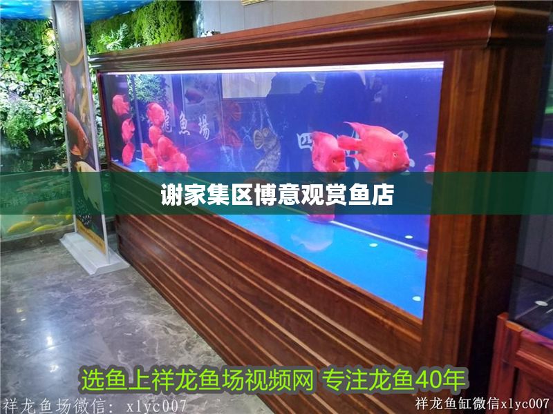謝家集區博意觀賞魚店