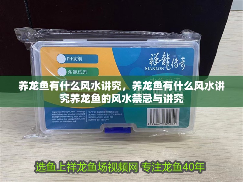 養龍魚有什么風水講究，養龍魚有什么風水講究養龍魚的風水禁忌與講究