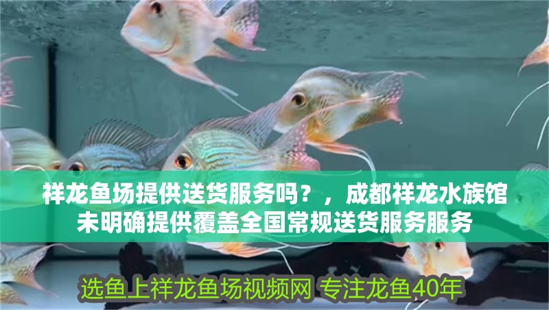 紅龍魚用黃燈烤有用嗎 祥龍魚場提供送貨服務嗎?,成都祥龍水族館未明確提供覆蓋全國常規送貨服務服務 龍魚百科 祥龍魚場提供送貨服務嗎?,成都祥龍水族館未明確提供覆蓋全國常規送貨服務服務 祥龍魚場提供送貨服務嗎?,成都祥龍水族館未明確提供覆蓋全國常規送貨服務服務 龍魚百科