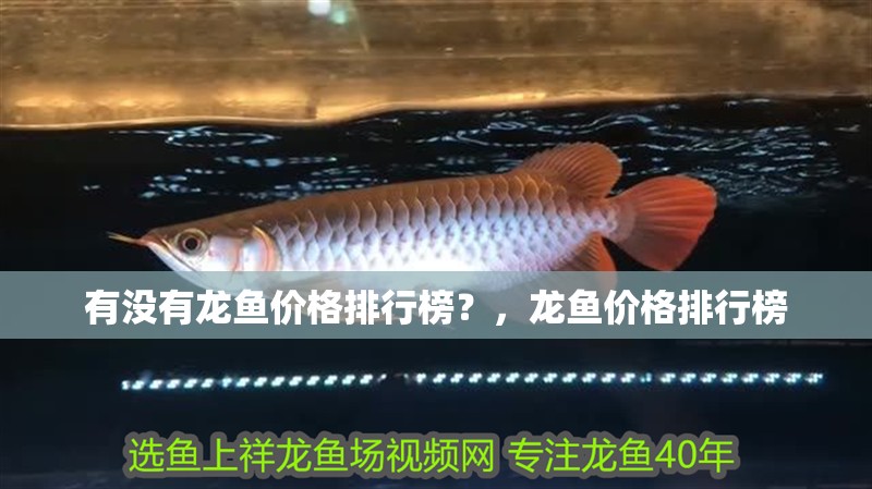 有沒有龍魚價格排行榜？，龍魚價格排行榜 有沒有龍魚價格排行榜？，龍魚價格排行榜 龍魚百科