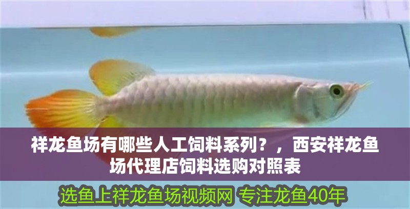 祥龍魚場有哪些人工飼料系列？，西安祥龍魚場代理店飼料選購對照表