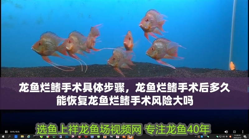 魚缸用增氧泵價格是多少:魚缸增氧機-xtrac增氧機-xtrac增氧機 龍魚爛鰭手術具體步驟,龍魚爛鰭手術后多久能恢復龍魚爛鰭手術風險大嗎 龍魚百科 龍魚爛鰭手術具體步驟,龍魚爛鰭手術后多久能恢復龍魚爛鰭手術風險大嗎 龍魚爛鰭手術具體步驟,龍魚爛鰭手術后多久能恢復龍魚爛鰭手術風險大嗎 龍魚百科