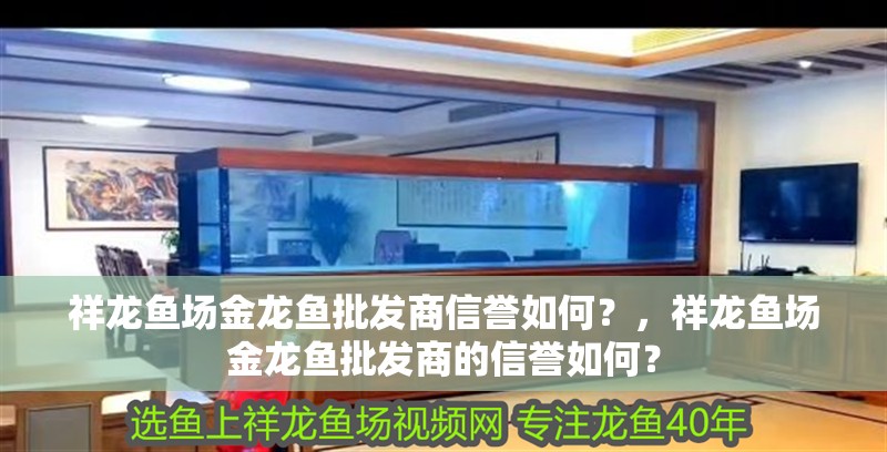 祥龍魚場金龍魚批發商信譽如何？，祥龍魚場金龍魚批發商的信譽如何？