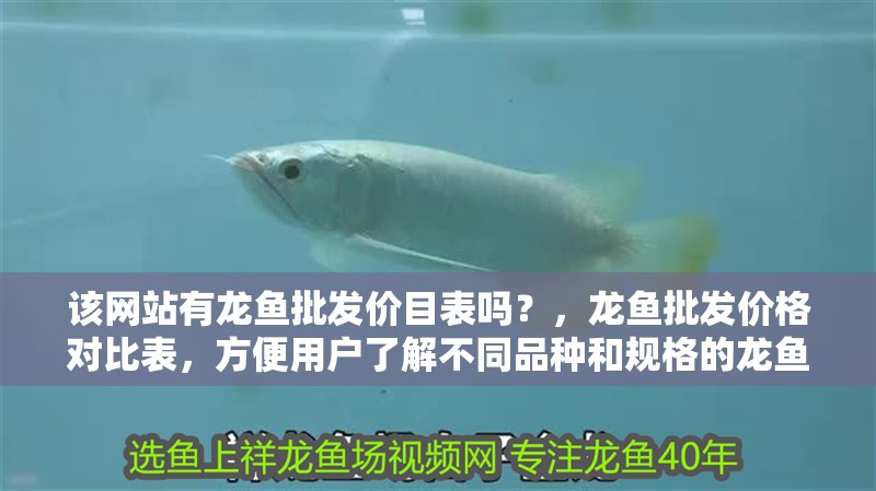 給大魚缸換水的作文:體驗給大魚缸換水的樂趣:體驗給大魚缸換水:給大魚缸換水的作文 該網站有龍魚批發價目表嗎?,龍魚批發價格對比表,方便用戶了解不同品種和規格的龍魚價格 龍魚百科 該網站有龍魚批發價目表嗎?,龍魚批發價格對比表,方便用戶了解不同品種和規格的龍魚價格 該網站有龍魚批發價目表嗎?,龍魚批發價格對比表,方便用戶了解不同品種和規格的龍魚價格 龍魚百科