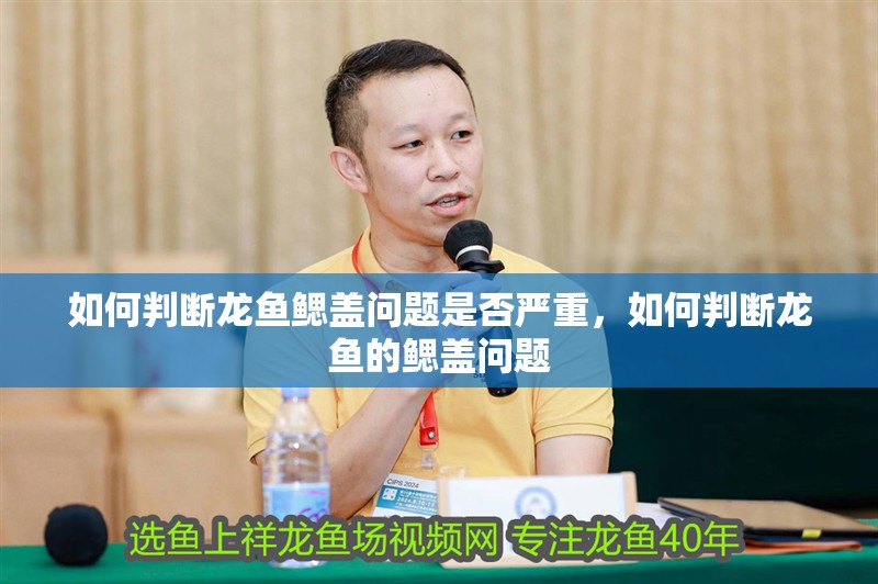 如何判斷龍魚鰓蓋問題是否嚴重，如何判斷龍魚的鰓蓋問題 如何判斷龍魚鰓蓋問題是否嚴重，如何判斷龍魚的鰓蓋問題 龍魚百科