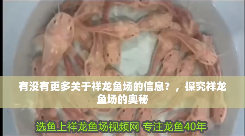 紅龍魚用黃燈烤有用嗎 有沒有更多關(guān)于祥龍魚場的信息?,探究祥龍魚場的奧秘 龍魚百科 有沒有更多關(guān)于祥龍魚場的信息?,探究祥龍魚場的奧秘 有沒有更多關(guān)于祥龍魚場的信息?,探究祥龍魚場的奧秘 龍魚百科