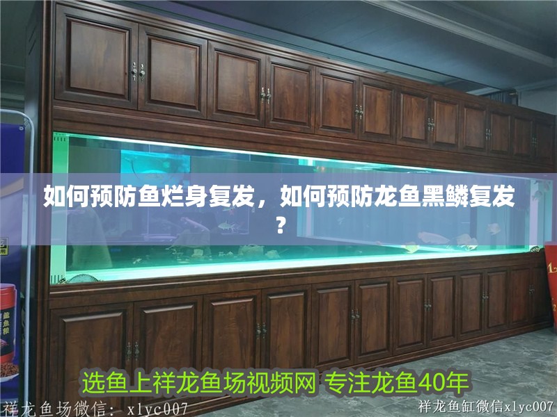如何預防魚爛身復發，如何預防龍魚黑鱗復發？ 如何預防魚爛身復發，如何預防龍魚黑鱗復發？ 龍魚百科