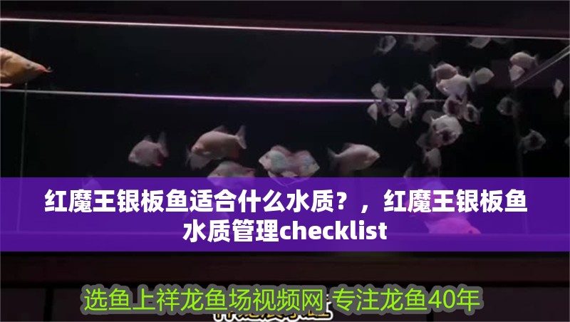 紅魔王銀板魚適合什么水質？，紅魔王銀板魚水質管理checklist 紅魔王銀板魚適合什么水質？，紅魔王銀板魚水質管理checklist 龍魚百科