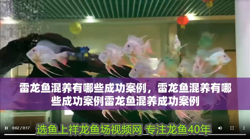 雷龍魚混養有哪些成功案例，雷龍魚混養有哪些成功案例雷龍魚混養成功案例