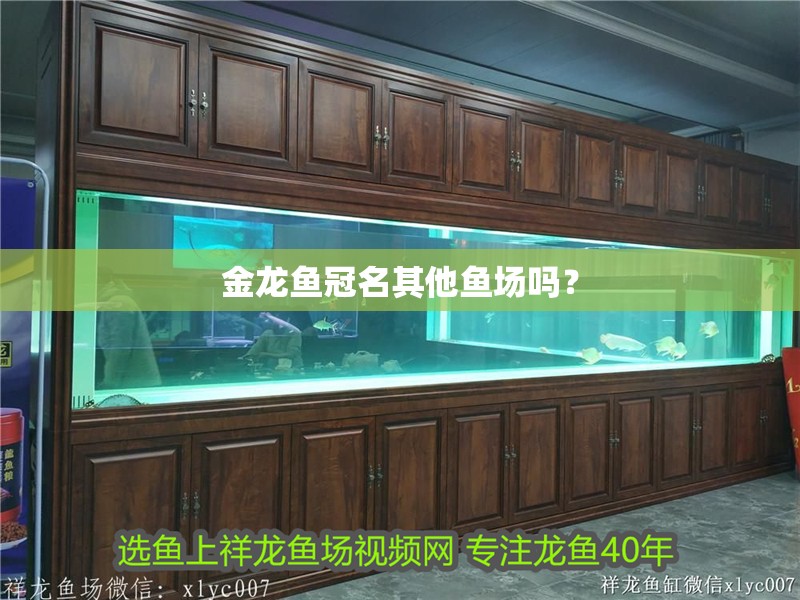 金龍魚冠名其他魚場嗎？ 金龍魚冠名其他魚場嗎？ 龍魚百科