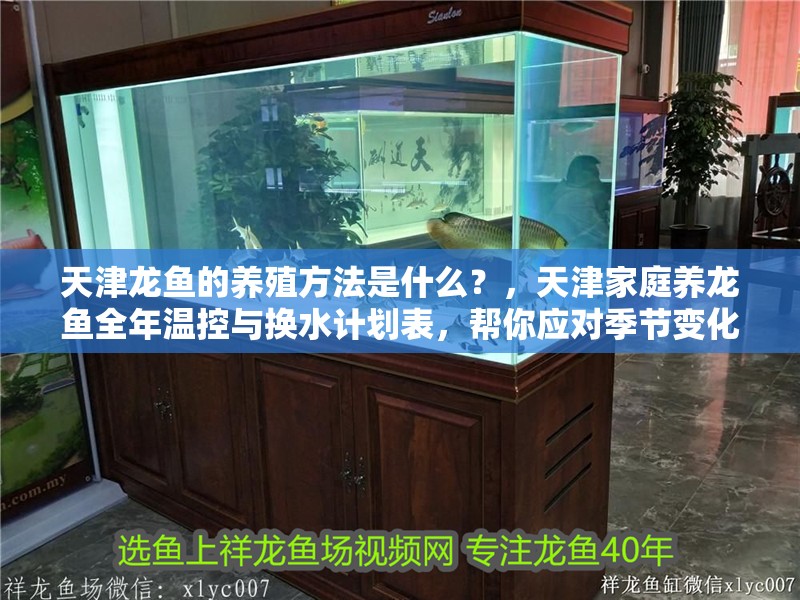 天津龍魚的養(yǎng)殖方法是什么？，天津家庭養(yǎng)龍魚全年溫控與換水計(jì)劃表，幫你應(yīng)對季節(jié)變化 天津龍魚的養(yǎng)殖方法是什么？，天津家庭養(yǎng)龍魚全年溫控與換水計(jì)劃表，幫你應(yīng)對季節(jié)變化 龍魚百科