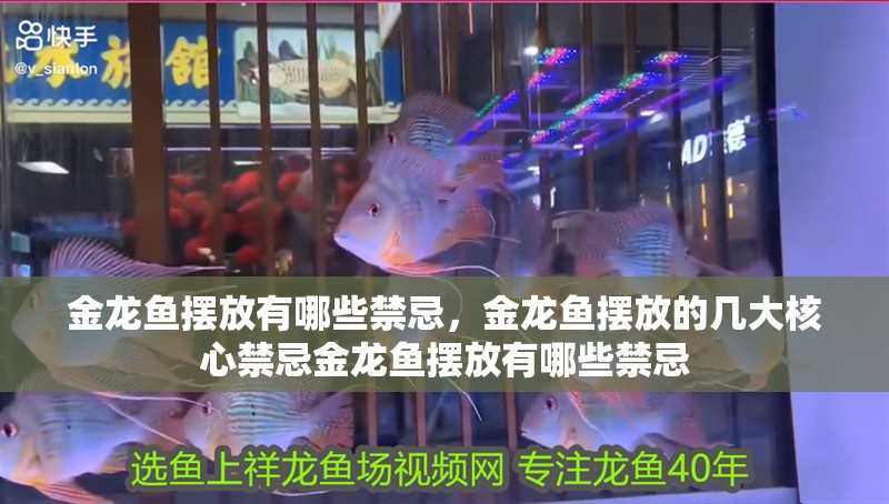 金龍魚擺放有哪些禁忌，金龍魚擺放的幾大核心禁忌金龍魚擺放有哪些禁忌