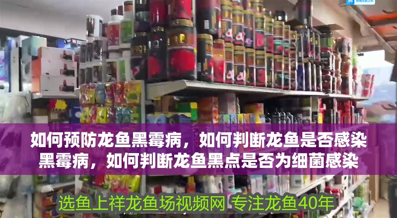 魚缸用增氧泵價格是多少:魚缸增氧機-xtrac增氧機-xtrac增氧機 如何預防龍魚黑霉病,如何判斷龍魚是否感染黑霉病,如何判斷龍魚黑點是否為細菌感染 龍魚百科 如何預防龍魚黑霉病,如何判斷龍魚是否感染黑霉病,如何判斷龍魚黑點是否為細菌感染 如何預防龍魚黑霉病,如何判斷龍魚是否感染黑霉病,如何判斷龍魚黑點是否為細菌感染 龍魚百科
