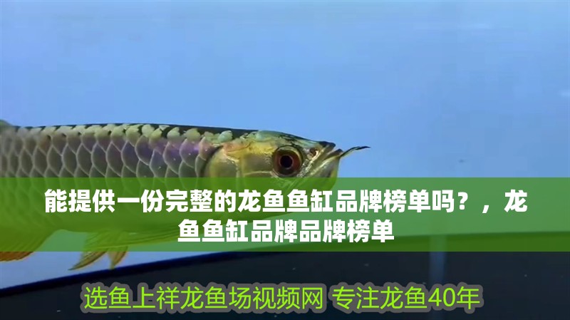 我的虎魚真菌感染了要怎么處理 能提供一份完整的龍魚魚缸品牌榜單嗎?,龍魚魚缸品牌品牌榜單 龍魚百科 能提供一份完整的龍魚魚缸品牌榜單嗎?,龍魚魚缸品牌品牌榜單 能提供一份完整的龍魚魚缸品牌榜單嗎?,龍魚魚缸品牌品牌榜單 龍魚百科