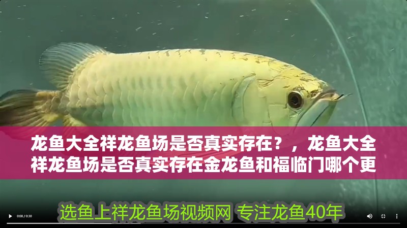 龍魚大全祥龍魚場是否真實存在？，龍魚大全祥龍魚場是否真實存在金龍魚和福臨門哪個更經濟 龍魚大全祥龍魚場是否真實存在？，龍魚大全祥龍魚場是否真實存在金龍魚和福臨門哪個更經濟 龍魚百科