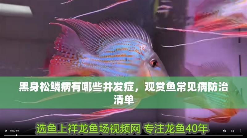 黑身松鱗病有哪些并發癥，觀賞魚常見病防治清單 黑身松鱗病有哪些并發癥，觀賞魚常見病防治清單 龍魚百科