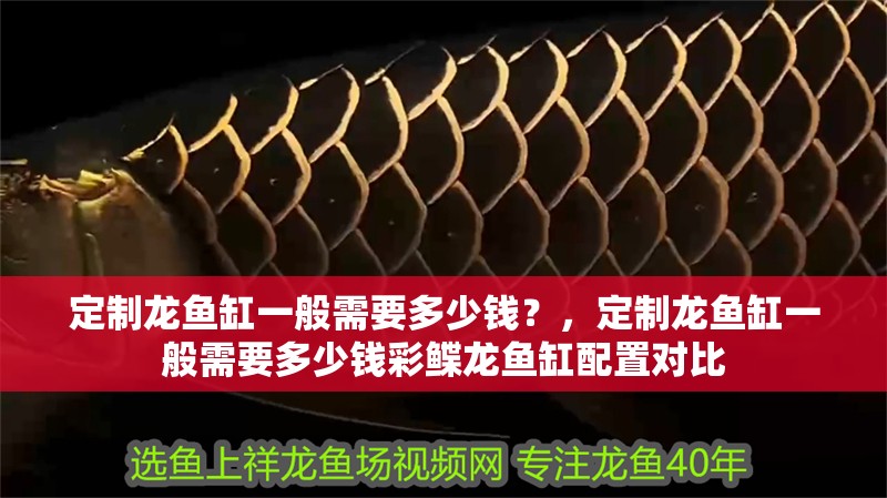 魚缸用增氧泵價格是多少:魚缸增氧機-xtrac增氧機-xtrac增氧機 定制龍魚缸一般需要多少錢?,定制龍魚缸一般需要多少錢彩鰈龍魚缸配置對比 龍魚百科 定制龍魚缸一般需要多少錢?,定制龍魚缸一般需要多少錢彩鰈龍魚缸配置對比 定制龍魚缸一般需要多少錢?,定制龍魚缸一般需要多少錢彩鰈龍魚缸配置對比 龍魚百科