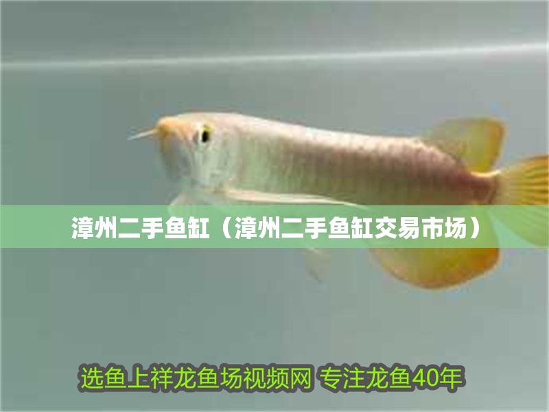 <strong><mark>漳州</mark></strong>二手魚缸（<strong><mark>漳州</mark></strong>二手魚缸交易市場）