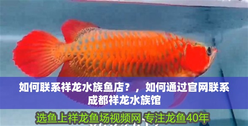 如何聯(lián)系祥龍水族魚店？，如何通過官網(wǎng)聯(lián)系成都祥龍水族館