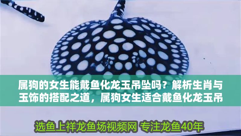 屬狗的女生能戴魚化龍玉吊墜嗎？解析生肖與玉飾的搭配之道，屬狗女生適合戴魚化龍玉吊墜嗎？生肖與玉飾搭配全解析