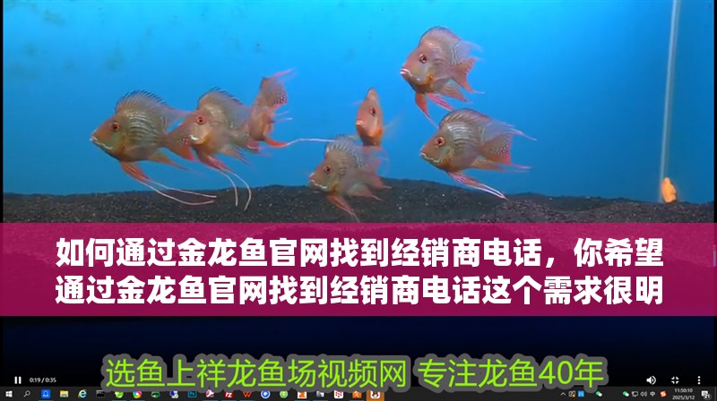 如何通過金龍魚官網找到經銷商電話，你希望通過金龍魚官網找到經銷商電話這個需求很明確
