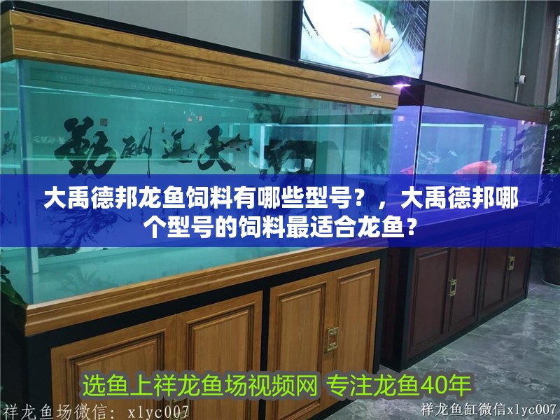 大禹德邦龍魚飼料有哪些型號？，大禹德邦哪個型號的飼料最適合龍魚？ 大禹德邦龍魚飼料有哪些型號？，大禹德邦哪個型號的飼料最適合龍魚？ 龍魚百科