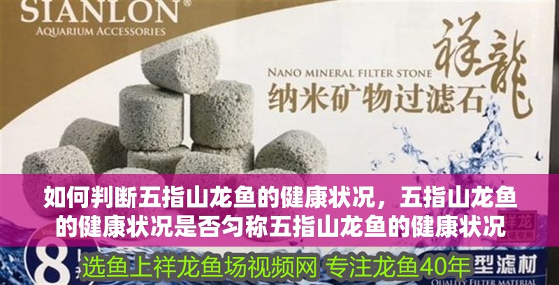 如何判斷<strong><mark>五指山</mark></strong>龍魚的健康狀況，<strong><mark>五指山</mark></strong>龍魚的健康狀況是否勻稱<strong><mark>五指山</mark></strong>龍魚的健康狀況