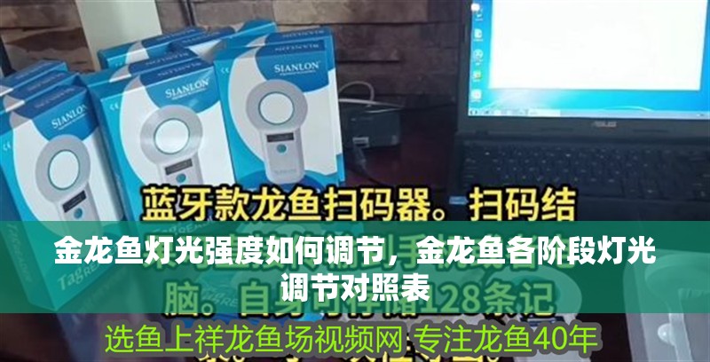 金龍魚燈光強度如何調節，金龍魚各階段燈光調節對照表