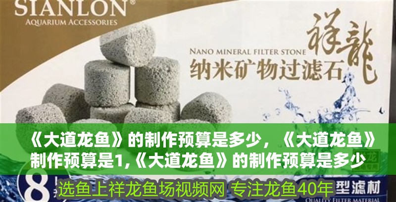 《大道龍魚》的制作預算是多少，《大道龍魚》制作預算是1,《大道龍魚》的制作預算是多少
