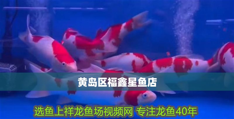 黃島區福鑫星魚店