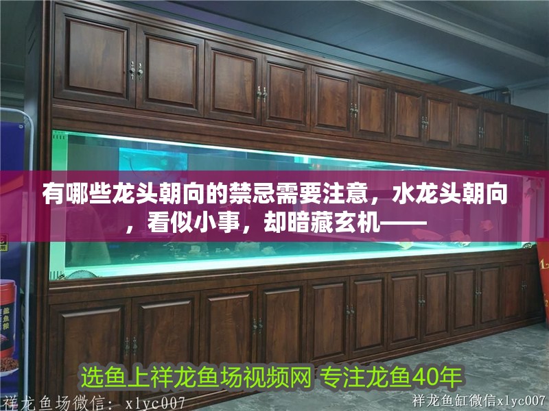 有哪些龍頭朝向的禁忌需要注意，水龍頭朝向，看似小事，卻暗藏玄機——