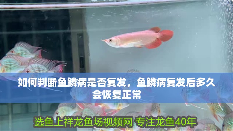 如何判斷魚鱗病是否復發，魚鱗病復發后多久會恢復正常