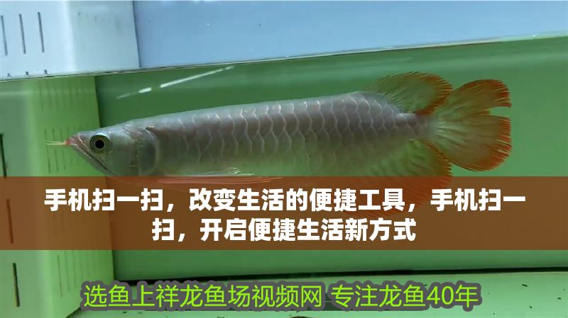 手機掃一掃，改變生活的便捷工具，手機掃一掃，開啟便捷生活新方式