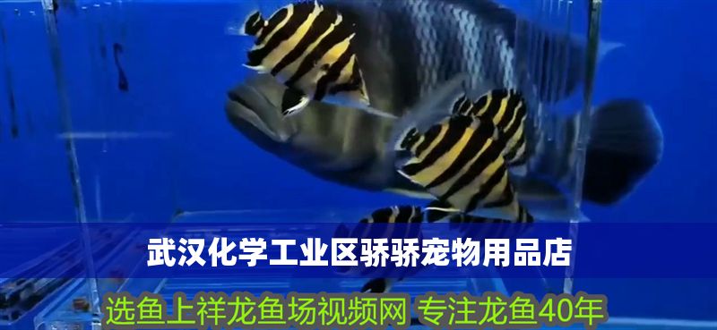 武漢化學(xué)工業(yè)區(qū)驕驕寵物用品店