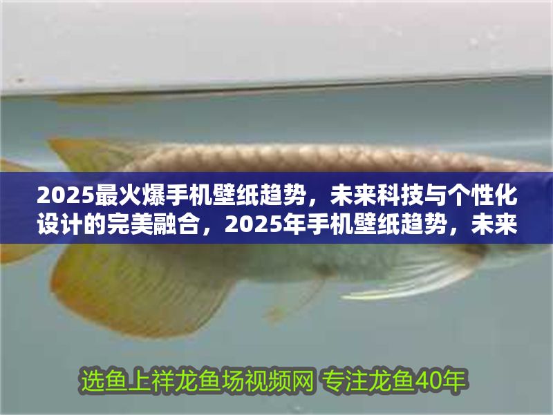 2025最火爆手機(jī)壁紙趨勢，未來科技與個性化設(shè)計的完美融合，2025年手機(jī)壁紙趨勢，未來科技與個性化設(shè)計的驚艷融合