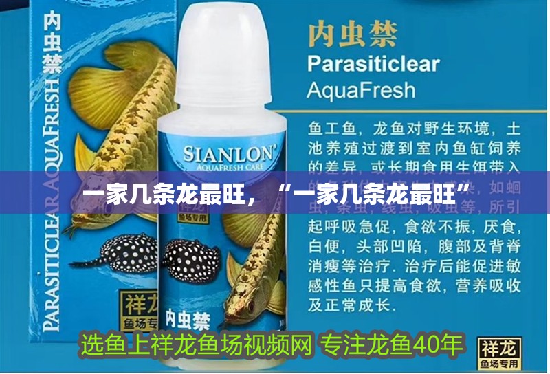 一家幾條龍最旺，“一家幾條龍最旺”