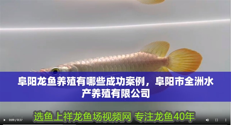 阜陽龍魚養殖有哪些成功案例，阜陽市全洲水產養殖有限公司