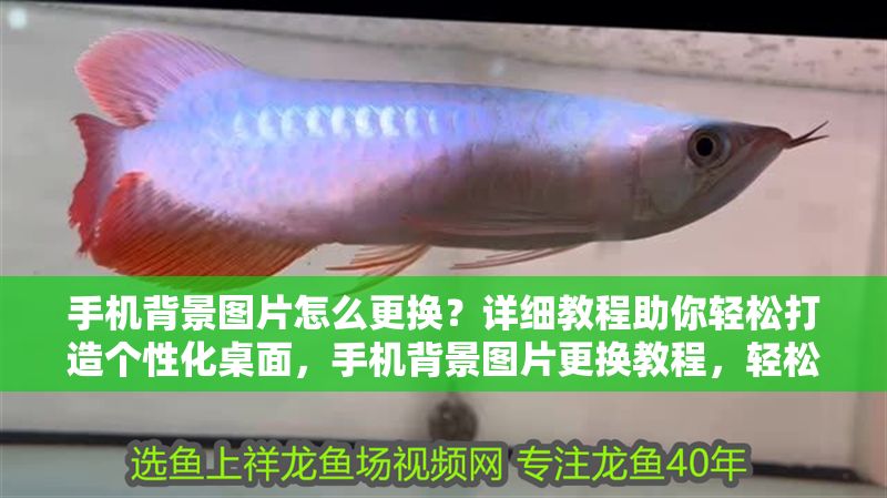 手機背景圖片怎么更換？詳細教程助你輕松打造個性化桌面，手機背景圖片更換教程，輕松打造個性化桌面