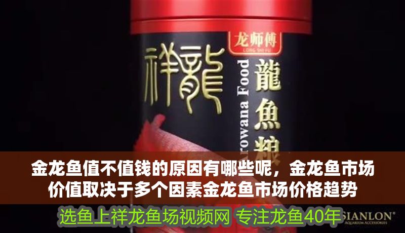 金龍魚值不值錢的原因有哪些呢，金龍魚市場價值取決于多個因素金龍魚市場價格趨勢