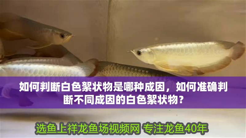 如何判斷白色絮狀物是哪種成因，如何準(zhǔn)確判斷不同成因的白色絮狀物？