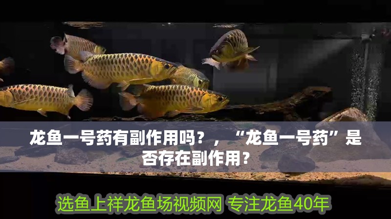 龍魚(yú)一號(hào)藥有副作用嗎？，“龍魚(yú)一號(hào)藥”是否存在副作用？