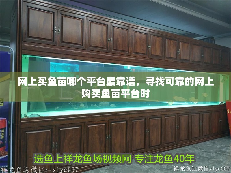 網上買魚苗哪個平臺最靠譜，尋找可靠的網上購買魚苗平臺時 網上買魚苗哪個平臺最靠譜，尋找可靠的網上購買魚苗平臺時 龍魚百科