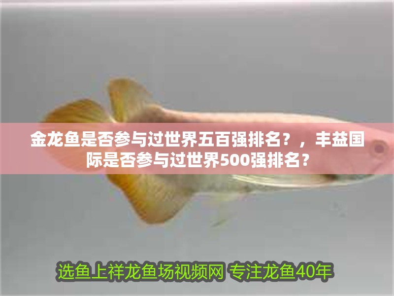 金龍魚是否參與過世界五百強排名？，豐益國際是否參與過世界500強排名？