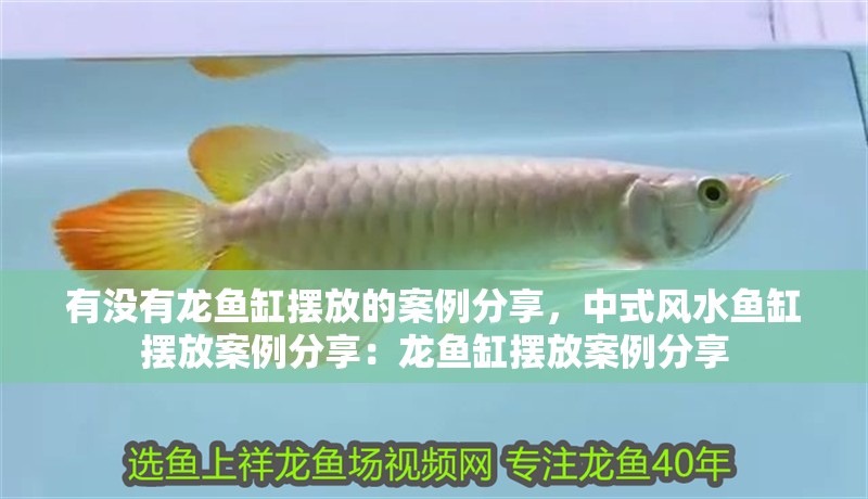 有沒(méi)有龍魚(yú)缸擺放的案例分享，中式風(fēng)水魚(yú)缸擺放案例分享：龍魚(yú)缸擺放案例分享 有沒(méi)有龍魚(yú)缸擺放的案例分享，中式風(fēng)水魚(yú)缸擺放案例分享：龍魚(yú)缸擺放案例分享 龍魚(yú)百科