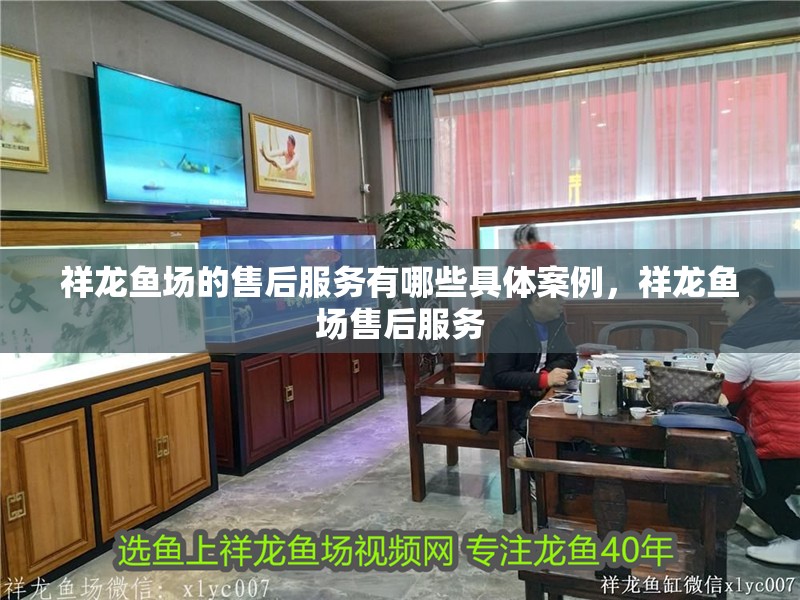 祥龍魚場的售后服務(wù)有哪些具體案例，祥龍魚場售后服務(wù)